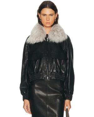 Nour Hammour Ellery Jacket - Black