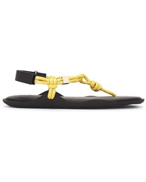 FLOWZE Flo Sandal - Multicolor
