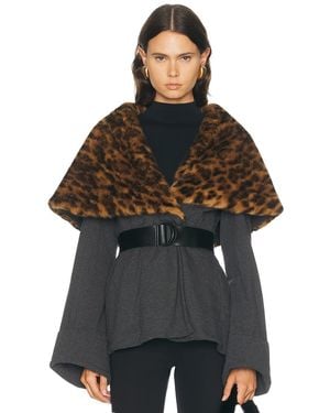 Norma Kamali Shawl Collar Peplum Jacket - Brown