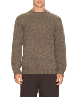 NN07 Lee 6598 - Brown