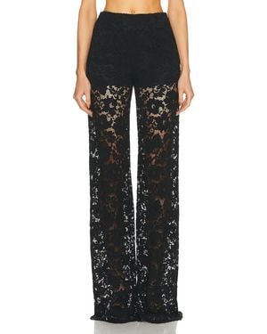 Sans Faff London Lace Flared Pant - Black
