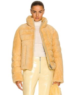 Bottega Veneta Short Teddy Shearling Jacket - Yellow