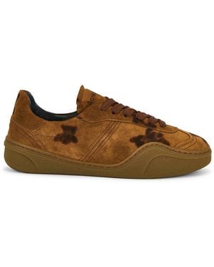 Acne Studios Bars Bear Print Sneaker - Brown