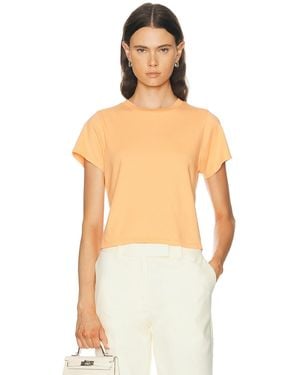 RENGGLI Crop Tee - Multicolor