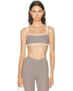 437 The Micro Bra - Multicolor