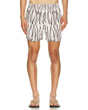 Frescobol Carioca Rio Vento Print Swim Short - Multicolor