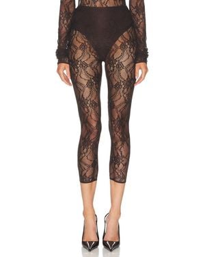 ANDAMANE Loli Lace Capri Legging - Brown
