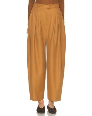 SEV Twill jogger Fit Pant - Orange