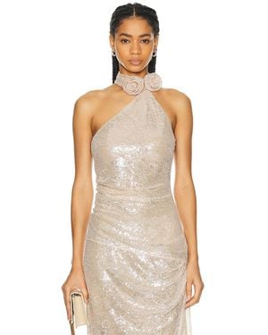 LPA Aniella Halter Top - Multicolor