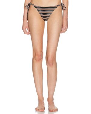 Bondeye Addison Bikini Brief - Multicolor