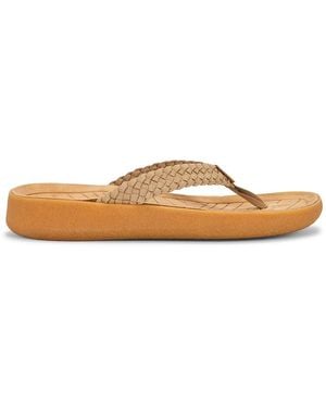 Malibu Sandals Surfrider Flip Flop - Multicolor