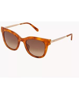 Fossil Dalia Rounded Square Sunglasses - Brown