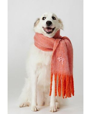Free People Winter Chill Blanket Scarf - Pink