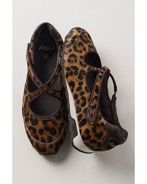 Ash Kore Animal-Print Mary Jane Sneakers - Brown