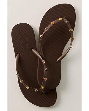 Brizza Arezzo Englewood Embellished Flip Flops By - Brown