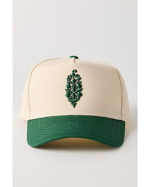 Fp Movement Courtly Colorblock Snapback Hat - Green