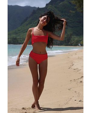 Aila Blue Alice Bikini Top - Black