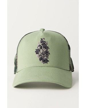 Fp Movement Petal To The Metal Hat - Green