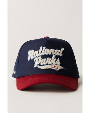 Parks Project National Parks Vintage Chenille Baseball Hat - Blue