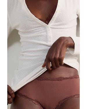 Free People Charlie Lace Microfiber Brief Undies - Brown