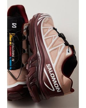 Salomon Xt-6 Gtx - Brown
