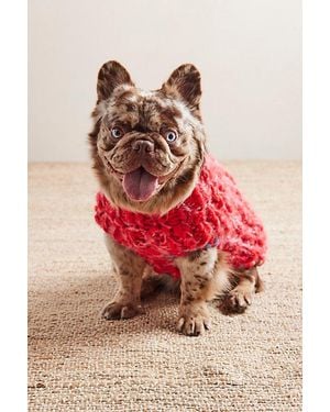 French Knot Chunky Dog Jumper By - Red