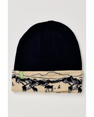 Parks Project Acadia Moose Beanie - Blue