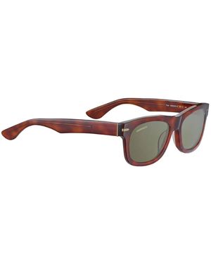 Serengeti Sunglasses Foyt - Brown