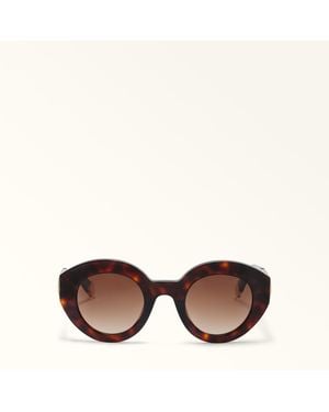 Furla Sunglasses Havana Acetate - Brown