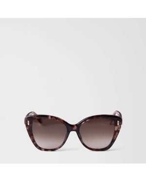 Furla Sunglasses Havana Acetate - Brown