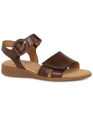 Gabor Yang Sandals - Brown