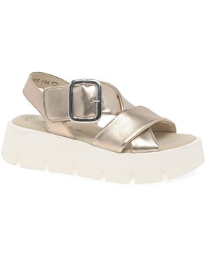 Gabor Daphne &Apos;S Sandals - Multicolour