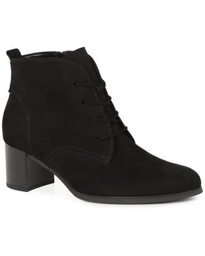 Gabor Burst Ankle Boots - Black