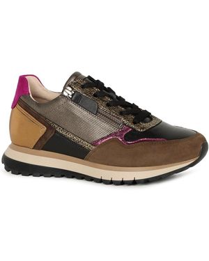 Gabor Hollywell Trainers - Brown