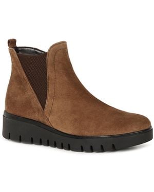 Gabor Dublin Chelsea Boots - Brown
