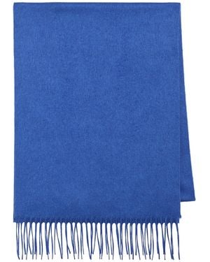 Gabriela Hearst Blaine Fringe Scarf - Blue