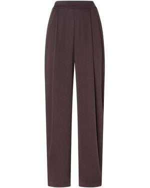 Pinko Pantalone Phlox - Viola