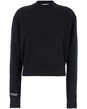 Sportmax Knitted Crew Neck Jumper - Blue