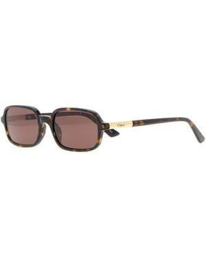 Chloé Multicolor Acetate Judy Sunglasses
