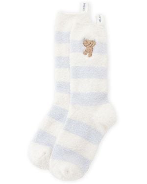 gelato pique Airy Moco Laundry Bear Striped Socks - White