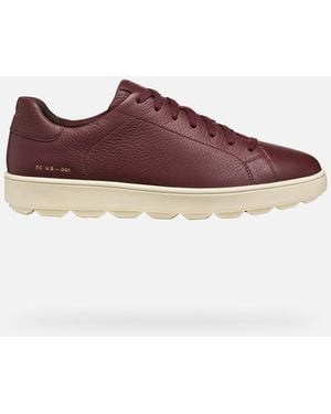 Geox Spherica Ecub-1 Homme - Violet