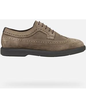 Geox Schuhe Spherica Ec17 Herr - Braun