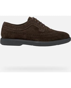 Geox Schuhe Spherica Ec17 Herr - Braun