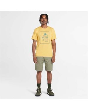 Timberland Topsfield Twill Chino Shorts - Green