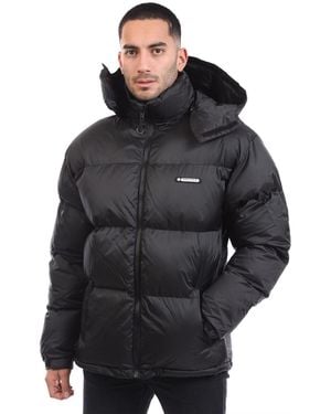 Nautica Puffer Jacket - Black