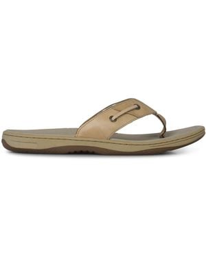 Sperry Top-Sider Baitfish Thon 6 (39) - Natural