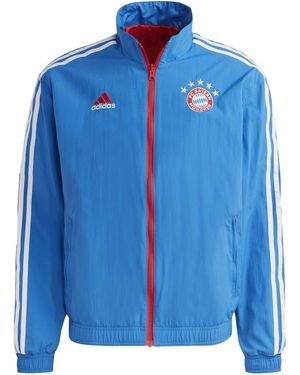 adidas Fc Bayern 2022/23 Reversible Anthem Jacket - Blue