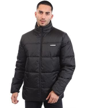 Nautica Puffer Jacket - Black