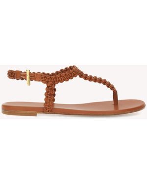 Gianvito Rossi Ubud Thong 05, Marron - Neutre