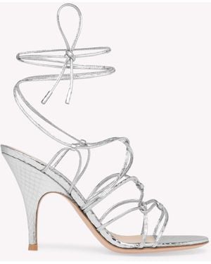 Gianvito Rossi Teti 95 - White